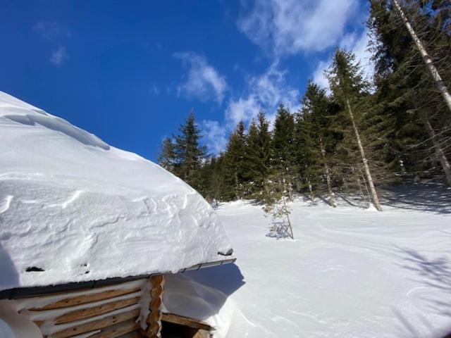 Alpenchalet Grabner Alm Am Praebichl Almhauser Exteriér fotografie